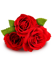 My Love Flowers