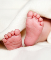 Welcome Baby Flowers