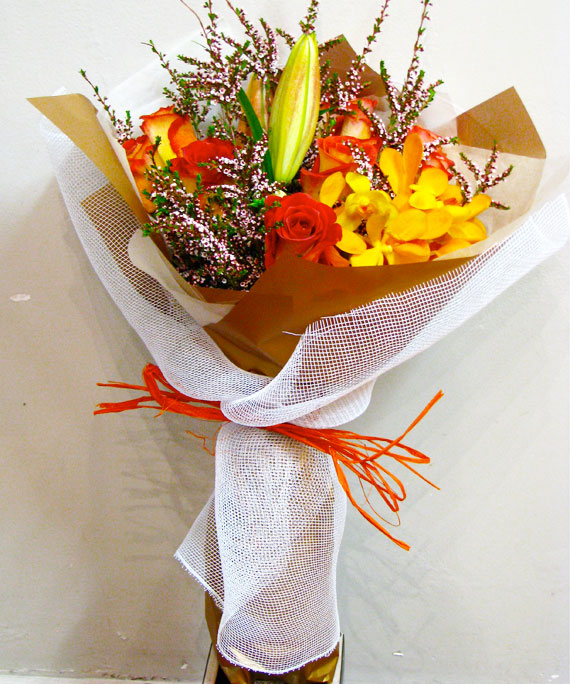 Beautiful Susan Beautiful Susan